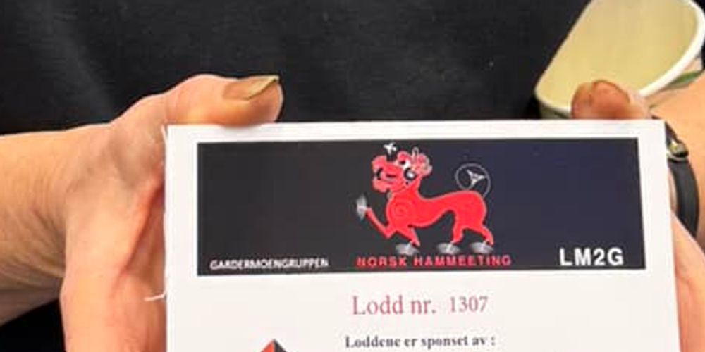 Foto: Norsk Hammeeting